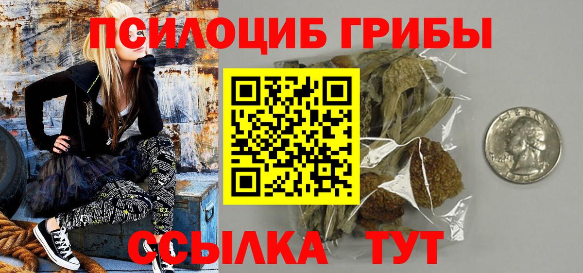 Псилоцибиновые грибы Psilocybine cubensis  Вход с VPN  Ликино-Дулёво 