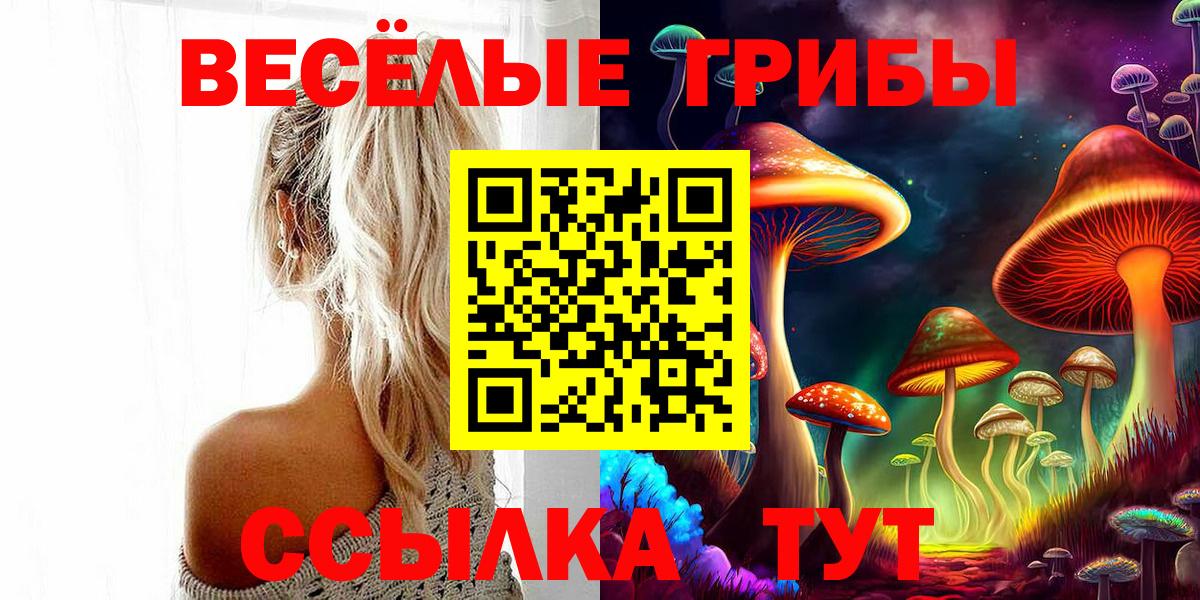 Псилоцибиновые грибы Psilocybine cubensis Ликино-Дулёво